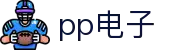 pp电子（中国）股份公司官网